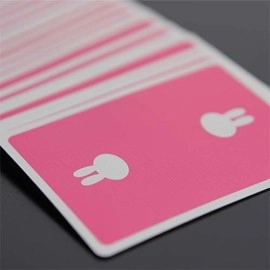 Mazzo di carte Surprise Deck Playing cards