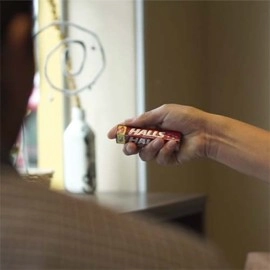 Chameleon by Marcos Cruz