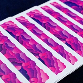 Mazzo di carte Explorer Playing Cards by David Huynh x Riffle Shuffle