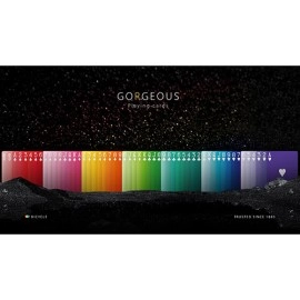 Mazzo di carte Bicycle Gorgeous Playing Cards by Bocopo