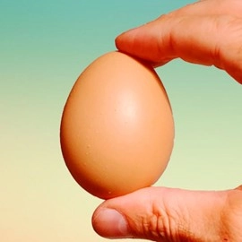 Fake Egg Brown by Quique Marduk