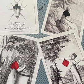 Mazzo di carte Cotta's Almanac #1 Transformation Playing Cards