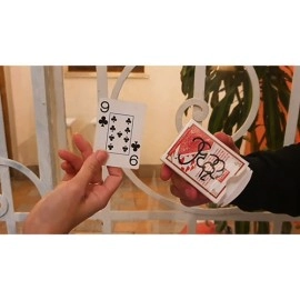 SCRIBBLES by Juan Pablo