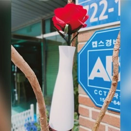 Dream Rose by JL Magic