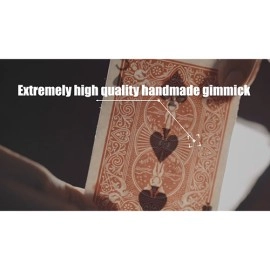 LIGHT AND SHADOW  (Gimmicks and Online Instructions) by Secret Factory 