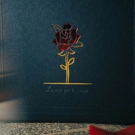 Mazzo di carte Ambiguous (Black) Playing Cards