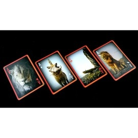 Mazzo di carte Lion King Deck by JL Magic