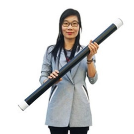 Character Wand (Magician) by JL Magic