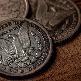 Skymember Presents Monarch (Morgan) by Avi Yap