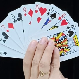 REVERSE CARD by JL Magic