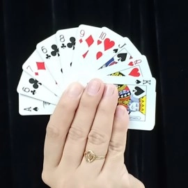 REVERSE CARD by JL Magic