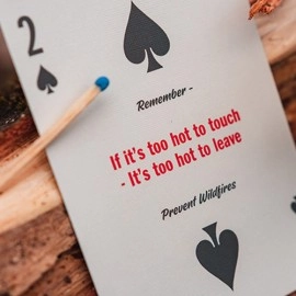 Mazzo di carte Smokey Bear Playing Cards by Art of Play