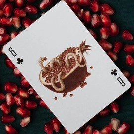 Mazzo di carte Cabinetarium Playing Cards by Art of Play