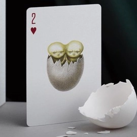 Mazzo di carte Cabinetarium Playing Cards by Art of Play