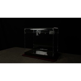 PORTABLE MONEY BOX / WITH BILLS by JL Magic