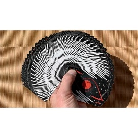 Mazzo di carte Gilded Bicycle Ninja Playing Cards