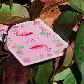 Mazzo di carte Wild Playing Cards