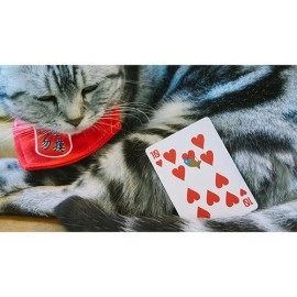 Mazzo di carte Meow Star Playing Cards by Bocopo
