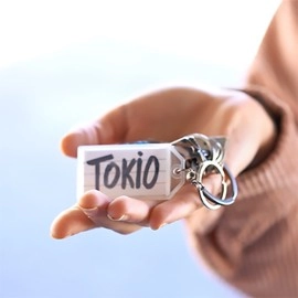 FLYYY (Ring Flight + Pocket Master Prediction) by Julio Montoro