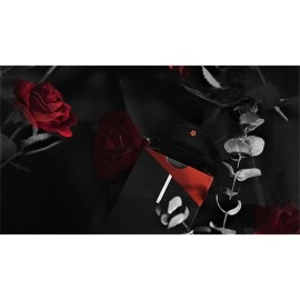 Mazzo di carte YUCI Soloist (Conjuring Edition) Playing Cards by TCC