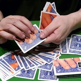 The Chameleon Card 2 (Gimmicks and Online Instructions) by Dominique Duvivier