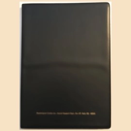 Mark Strivings Presents Rhine 2000 by Ray Piatt