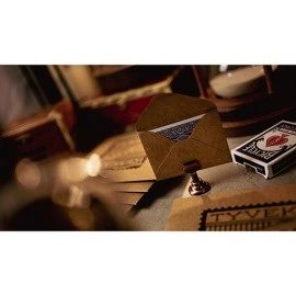 Tyvek Envelope System (10 Envelopes and Online Instructions) by Ryan Plunkett