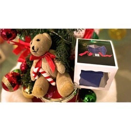 THE PRESENT Dylan Sausset and Axel Vergnaud