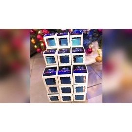 THE PRESENT Dylan Sausset and Axel Vergnaud