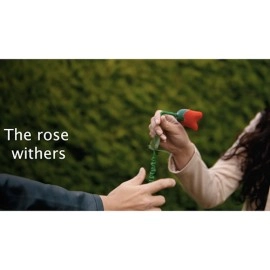 DROPPING FLOWER by Mago Rigel & Twister Magic