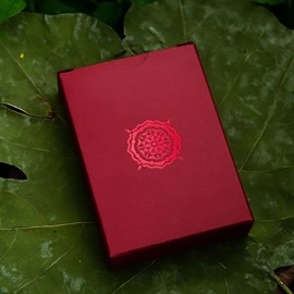 Mazzo di carte Solstice Playing Cards by Kings Wild