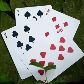 Mazzo di carte Solstice Playing Cards by Kings Wild