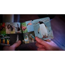 To the Point by Mark Lemon 