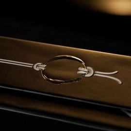 WGM RING ON ROPE SET (Gimmicks and Online Instructions)