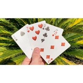 Mazzo di carte Bicycle Dinosaur Stripper Playing Cards