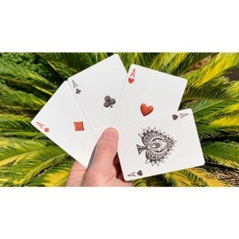 Mazzo di carte Bicycle Dinosaur Stripper Playing Cards