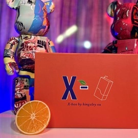 X Box 2.0 (Gimmicks and Online Instructions) by Kingsley Xu