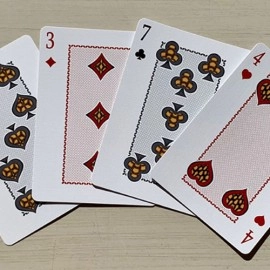 Mazzo di carte Gilded Bicycle Turtle (Land) Playing Cards