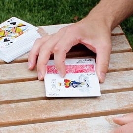 CHANGELING (Gimmicks and Online Instructions) by Peter Eggink