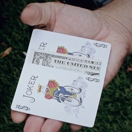 CHANGELING (Gimmicks and Online Instructions) by Peter Eggink