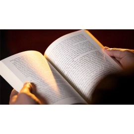 The End Book Test by Angelo Carbone (Gimmick and Online Instructions)