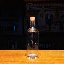REAL COIN IN BOTTLE (HALF) by Bacon Magic