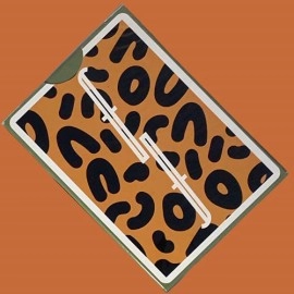 Mazzo di carte Fontaine Nickelodeon: Thornberries Playing Cards