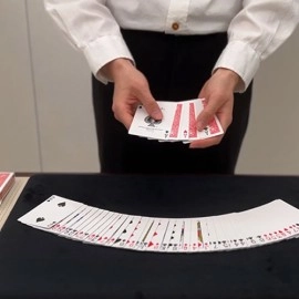 Parlour Collectors 2.0 RED (Gimmicks and Online Instructions) by JT