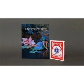 ENCHANTED INSIGHTS RED (French Instruction) by Magic Entertainment Solutions