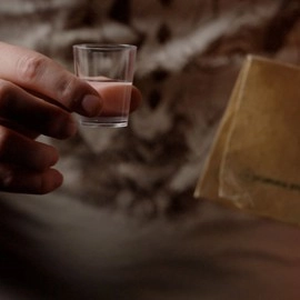 VANISHING COIN (Gimmicks and Instructions) by Apprentice Magic