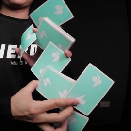 Mazzo di carte Jaspas Deck Favourite Day Edition 2