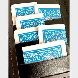 Mis-Indexed Court Cards (LIGHT) - Pack of 12 by Steve Dela