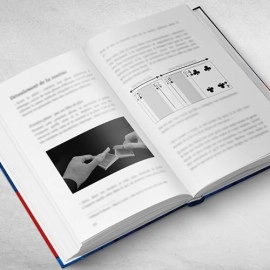 RAINMAN by Vincent Hedan - Book