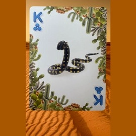 Mazzo di carte Bicycle Balloon Desert Playing Cards